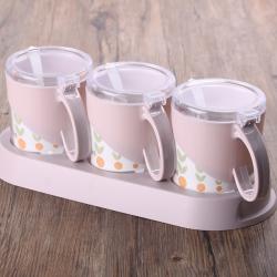 彩悅?cè)裾{(diào)味盒（簡(jiǎn)裝）